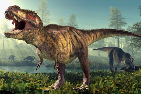 Los Tyrannosaurus rex también eran inmigrantes. Llegaron a América desde muy lejos, según un nuevo estudio Los Tyrannosaurus rex también eran inmigrantes. Llegaron a América desde muy lejos, según un nuevo estudio