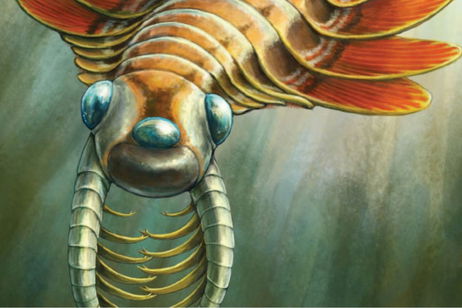 Era un depredador prehistórico, tenía tres ojos y podía respirar por el trasero. Así vivió este animal hace 500 millones de años Era un depredador prehistórico, tenía tres ojos y podía respirar por el trasero. Así vivió este animal hace 500 millones de años